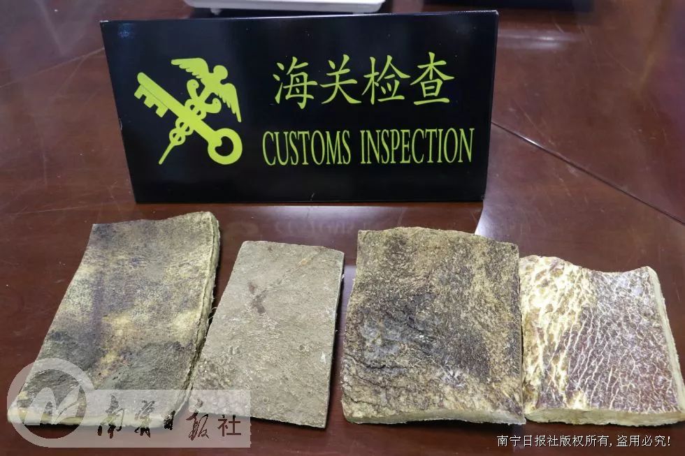 开始读书吧在线阅读,开始阅读吧