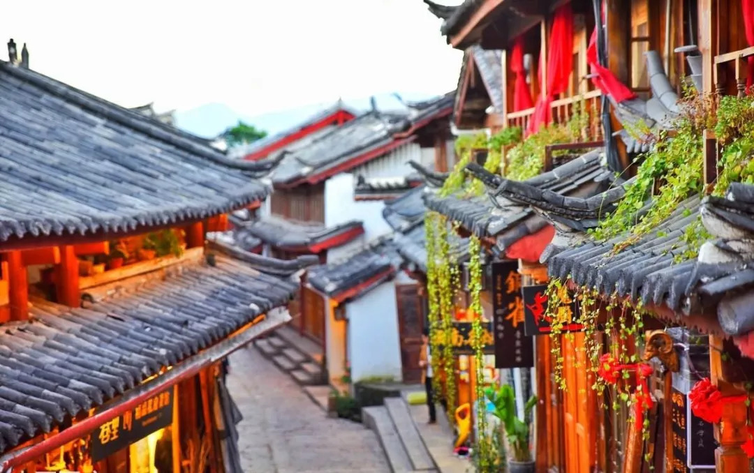 离开故里赴香港30载，玉龙雪山依然屹立为她守候丨丽江·久木居舍