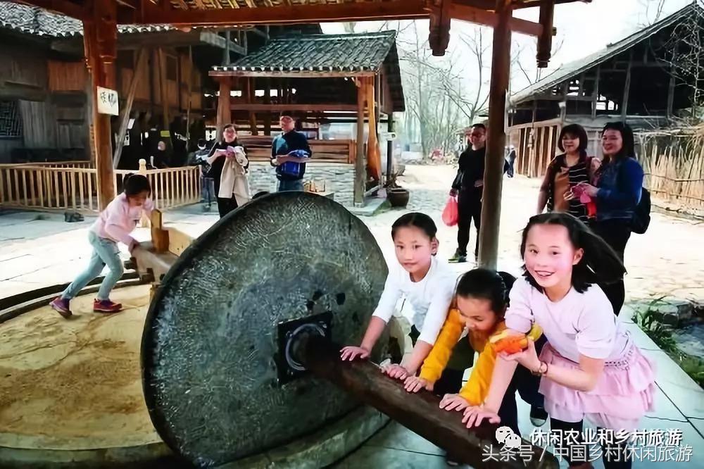 农业体验活动创意项目,休闲农业体验活动评估