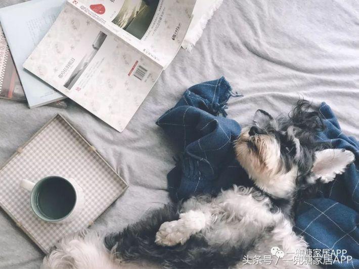 她家家居旗舰店,她家家具性价比超高