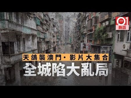 风球！*祸人**！人工智能！