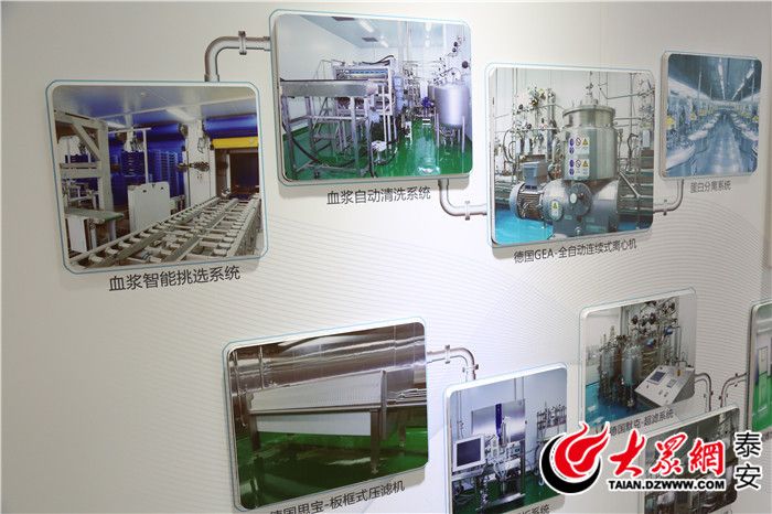 山东泰邦生物,山东泰邦生物制品有限公司法人