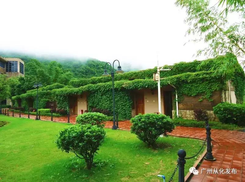 从化森林里的温泉,从化温泉度假详细旅游攻略