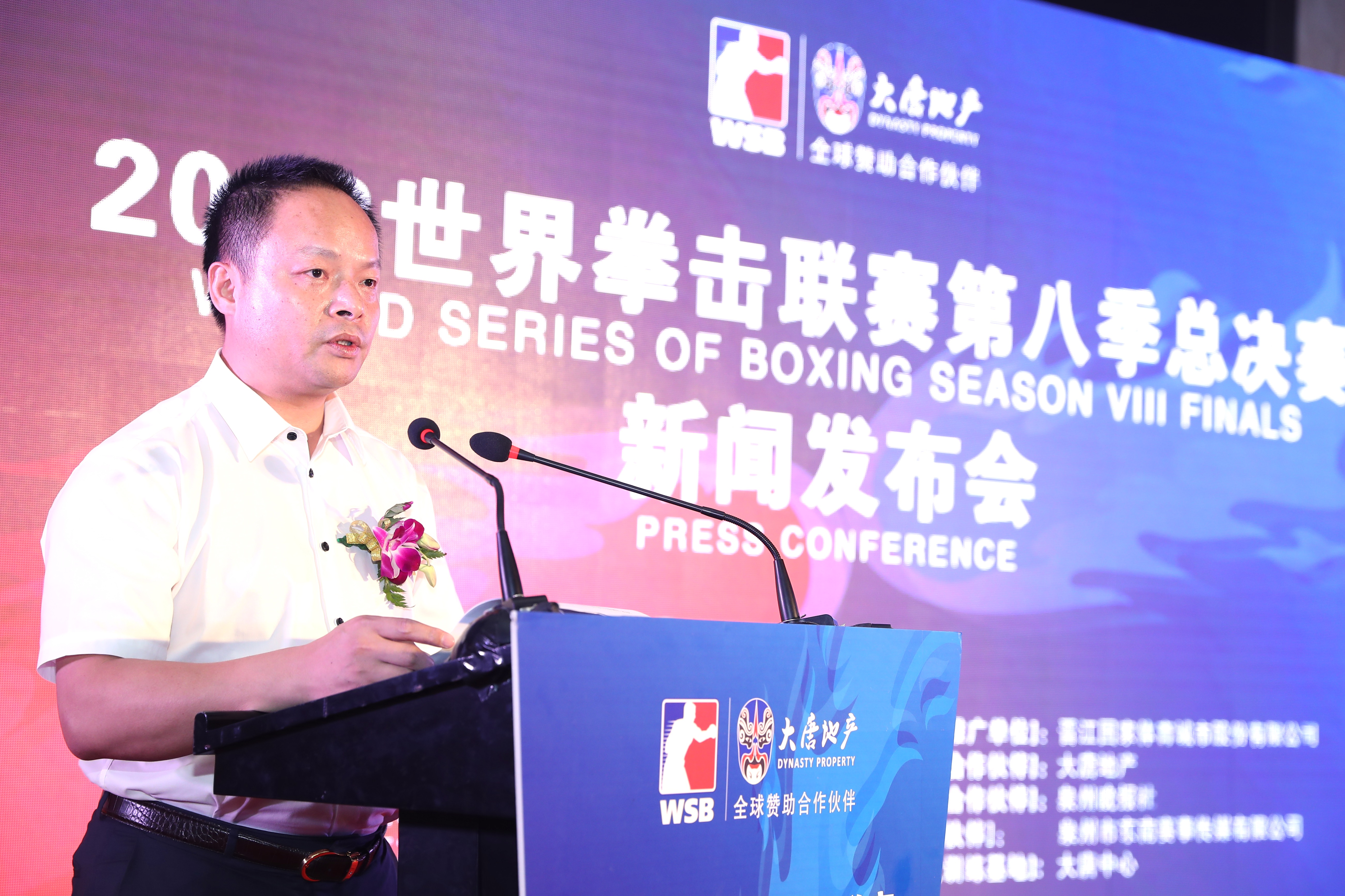 wsb世界职业拳击联赛,wsb拳击联赛