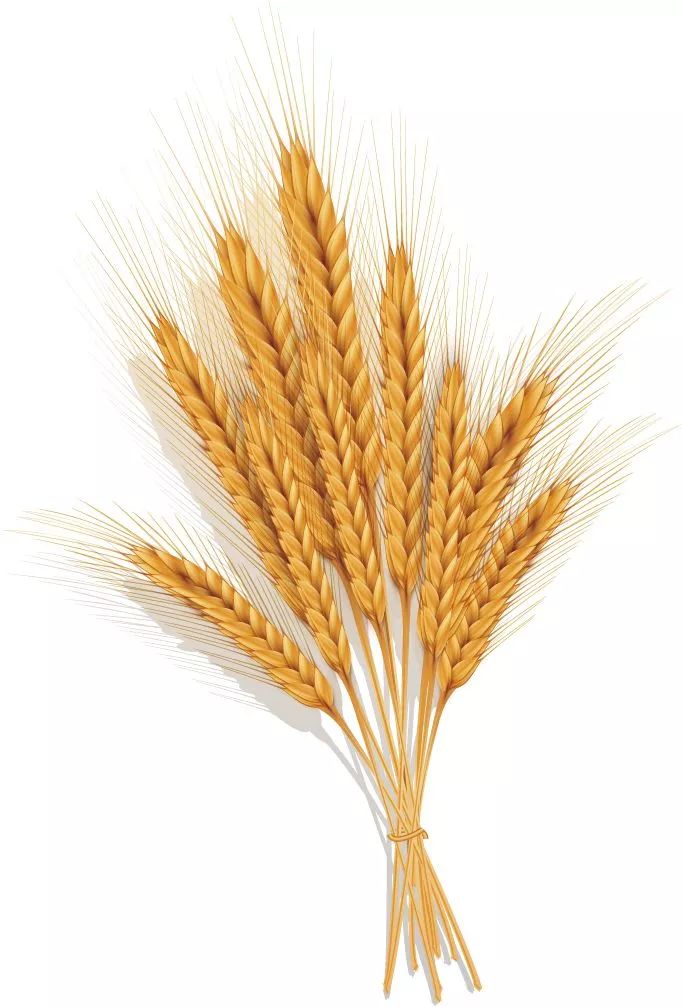 人均可支配收入农村和城镇增速图,杭州农村居民年平均收入