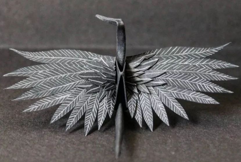 每天折一个千纸鹤,每天折一只纸鹤