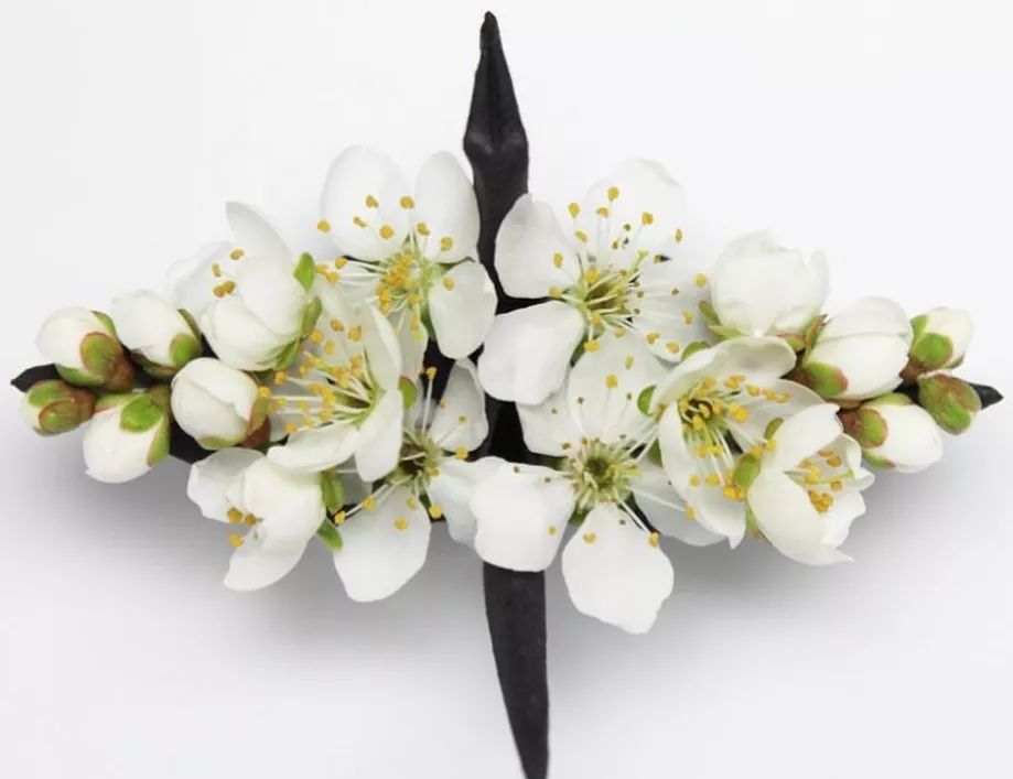 每天折一个千纸鹤,每天折一只纸鹤