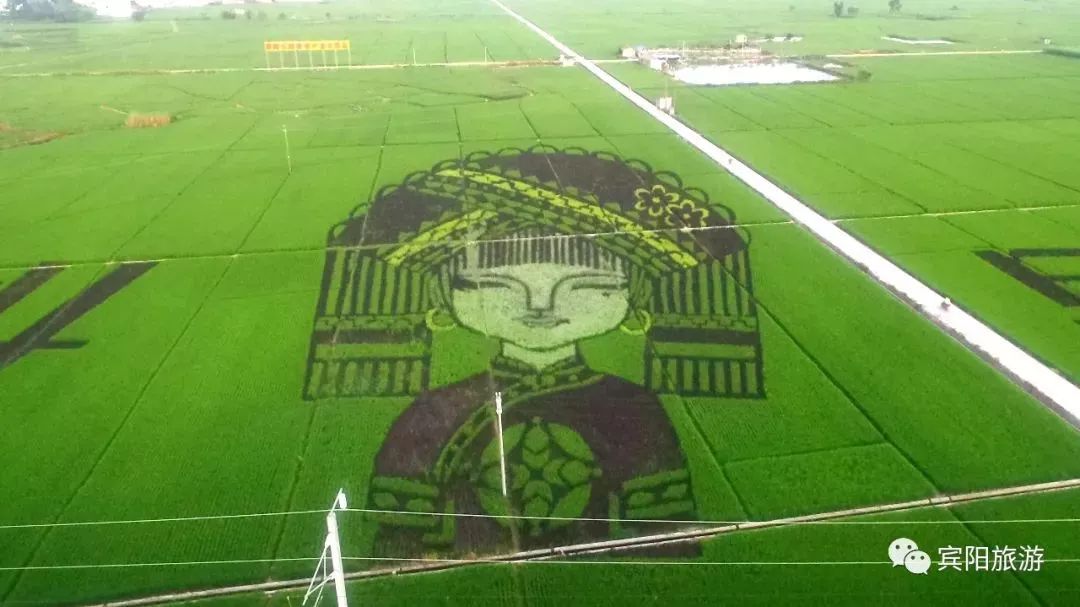 宾阳古辣邀请函,2020年宾阳县古辣