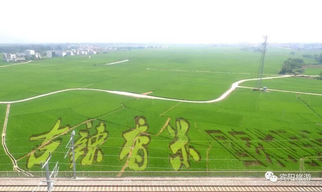 宾阳古辣邀请函,2020年宾阳县古辣