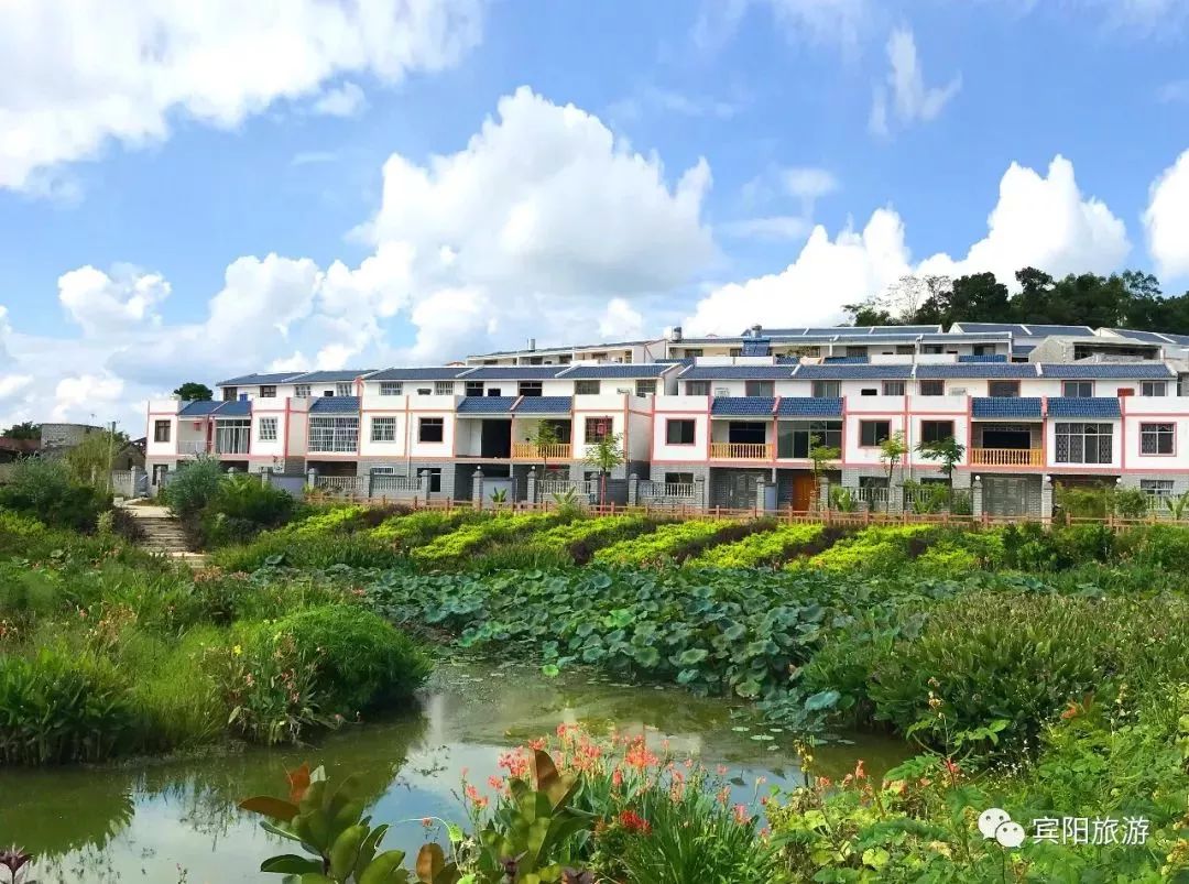 宾阳古辣邀请函,2020年宾阳县古辣