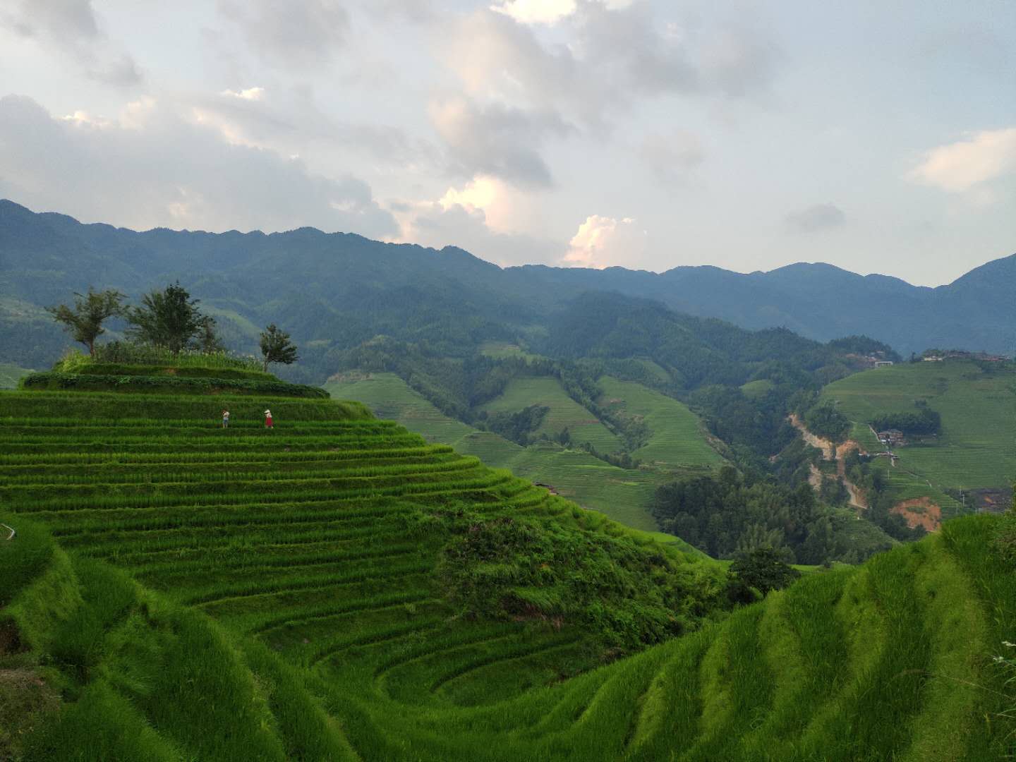 醉美广西龙胜梯田,广西秋天的龙脊梯田