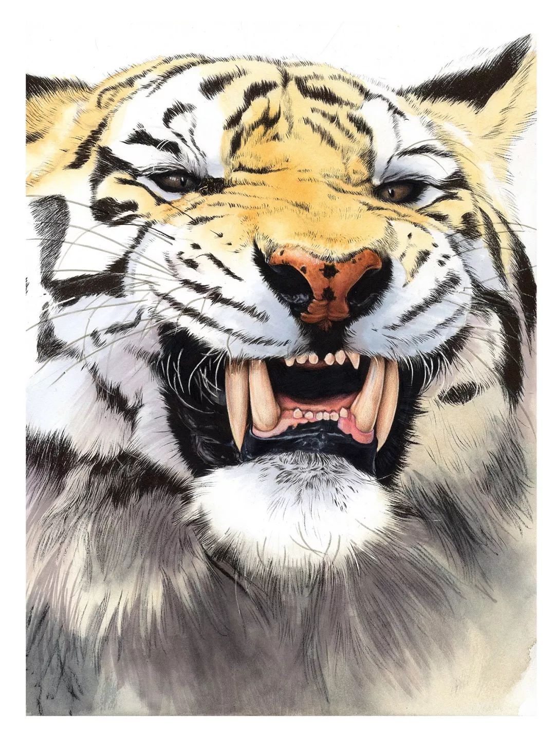 拥有800万超高人气，看看这位大神，是如何用水溶彩……