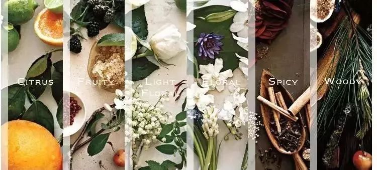 jomalone祖马龙香水小样,jomalone祖玛珑香水什么价位