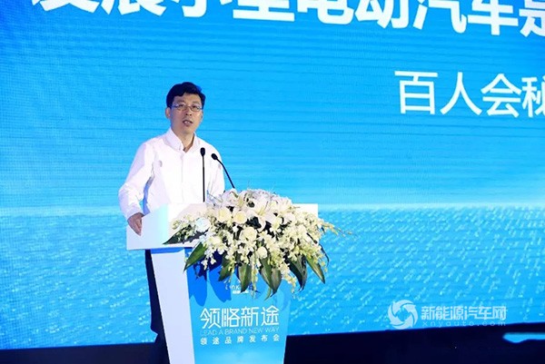 领途大熊电动汽车价格,领途e新能源电动汽车多少钱落地