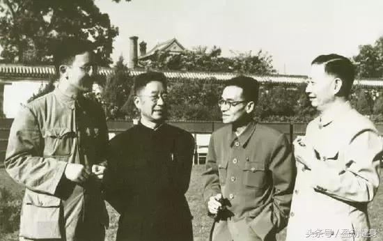 14岁贝克汉姆,14岁贝克汉姆的儿子