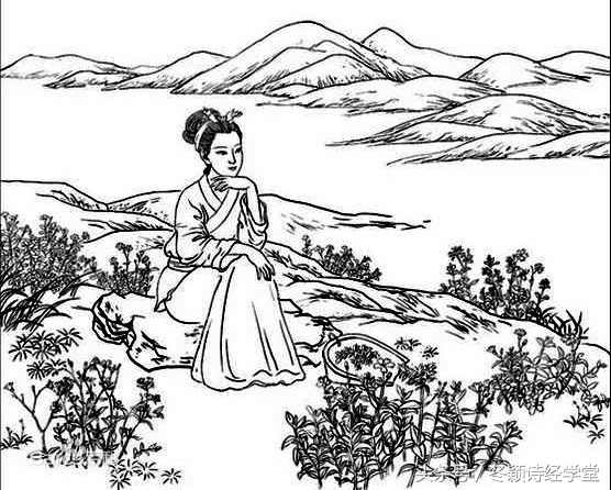 冬颖老师讲诗经合集,诗经国风周南葛覃朗读