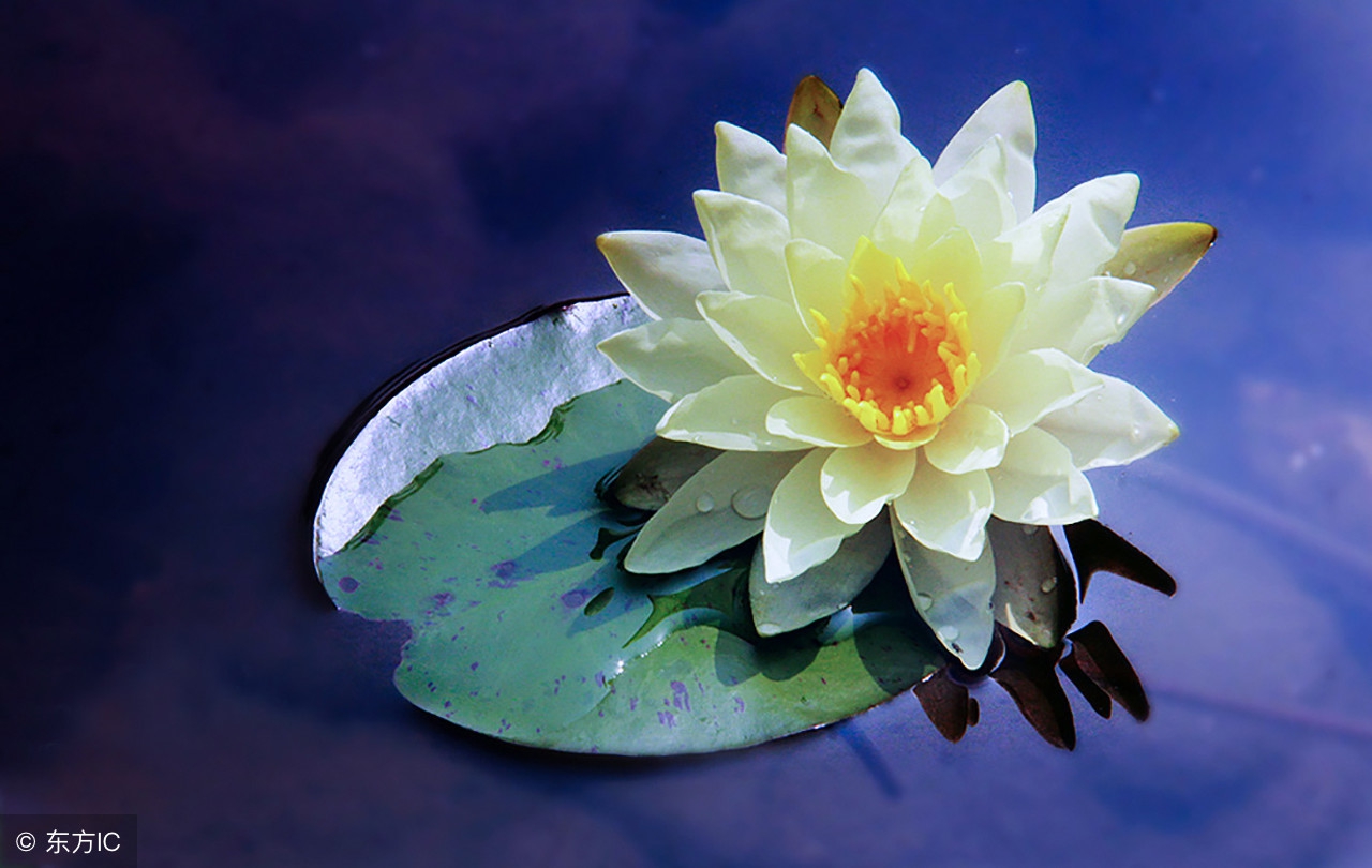 通知：这种人，没品没德，谁都别理他！一定要互相转告