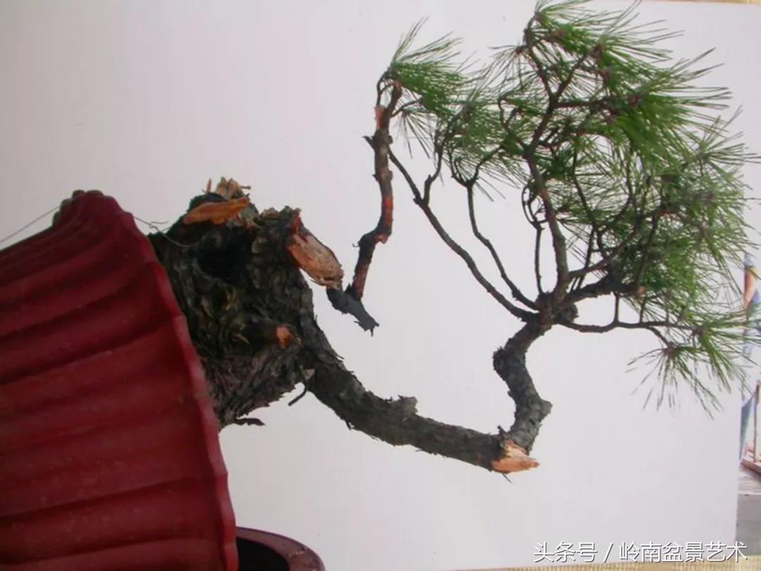 神来之笔绘画作品欣赏,神来之笔书法作品大全