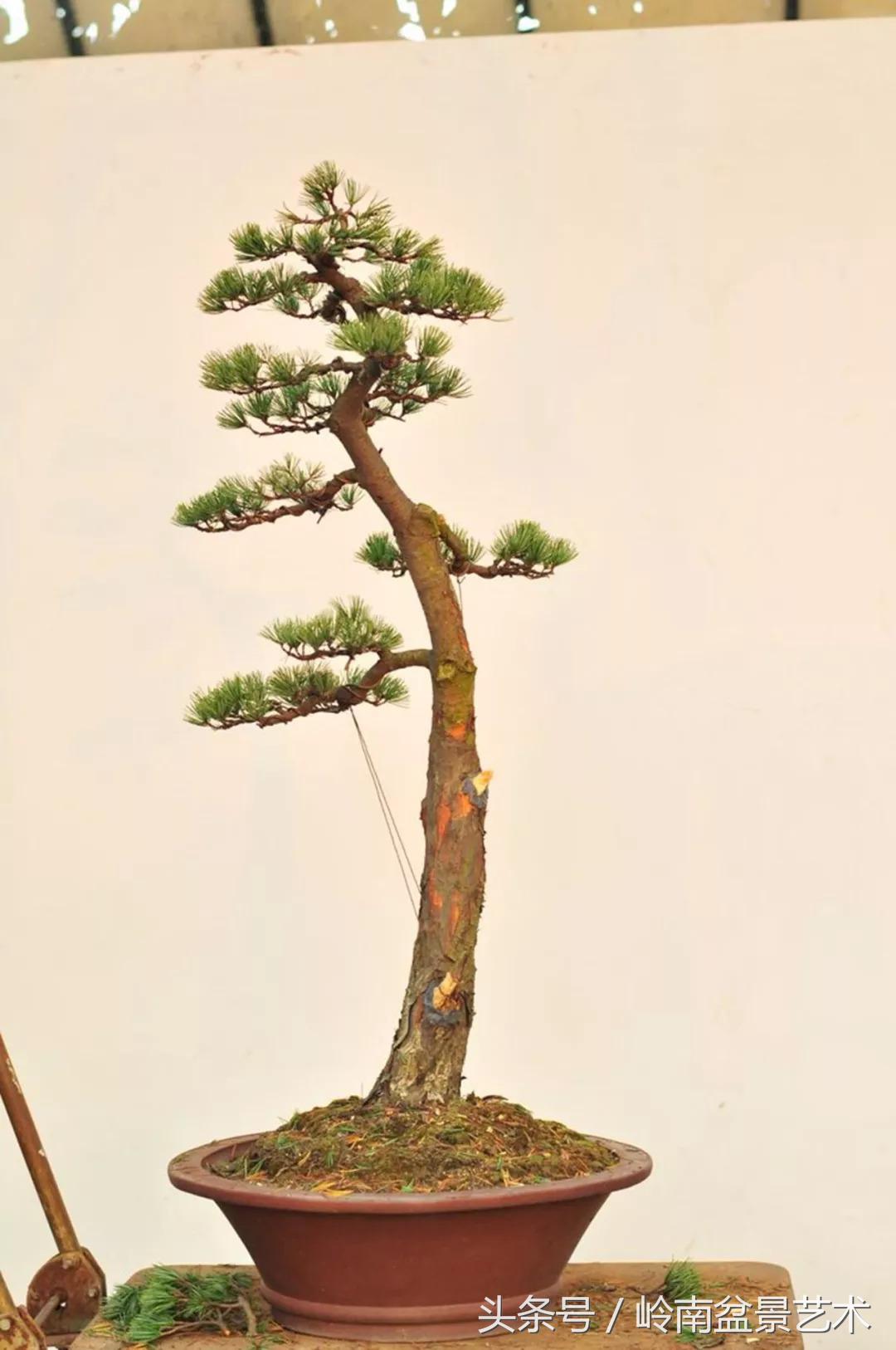 神来之笔绘画作品欣赏,神来之笔书法作品大全