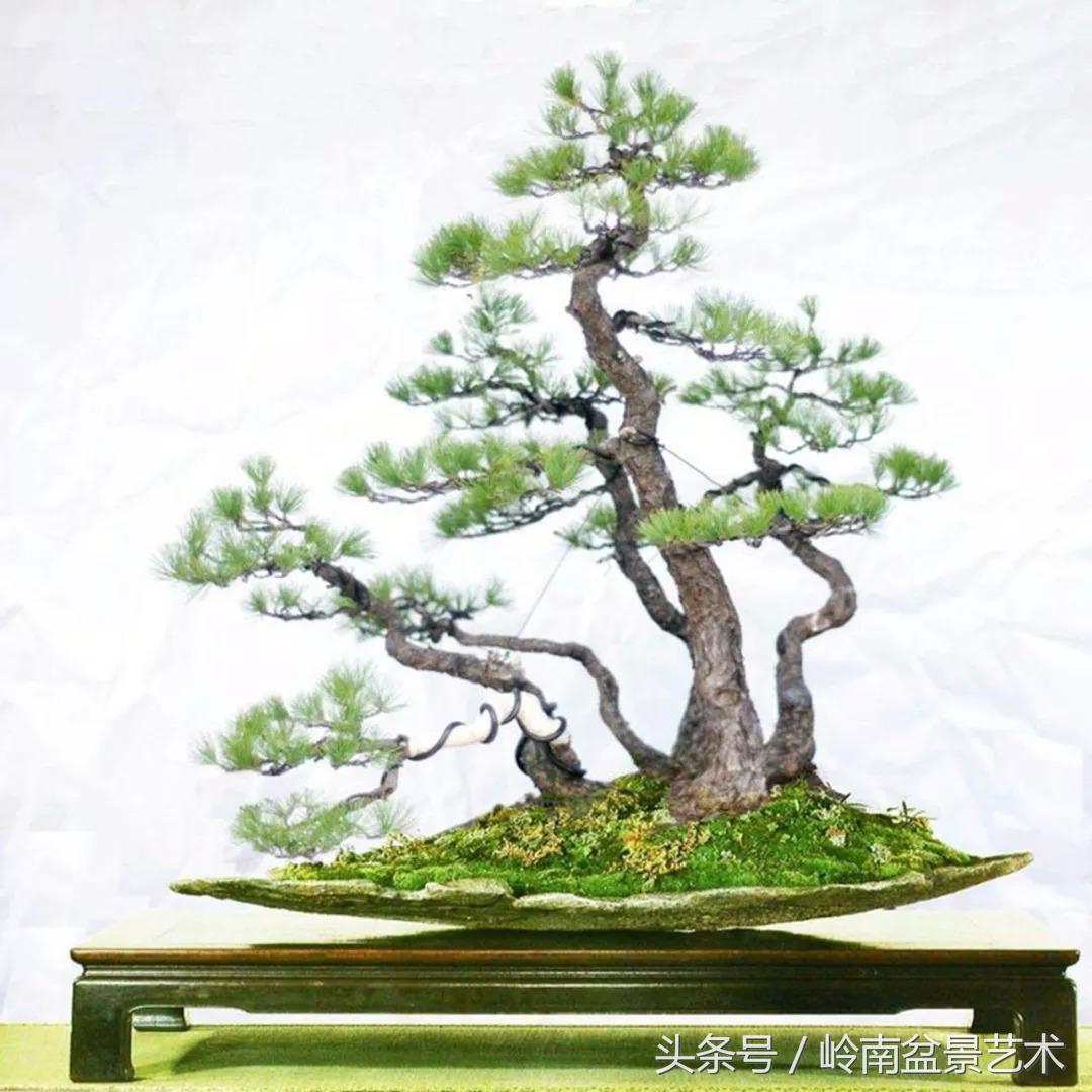 神来之笔绘画作品欣赏,神来之笔书法作品大全