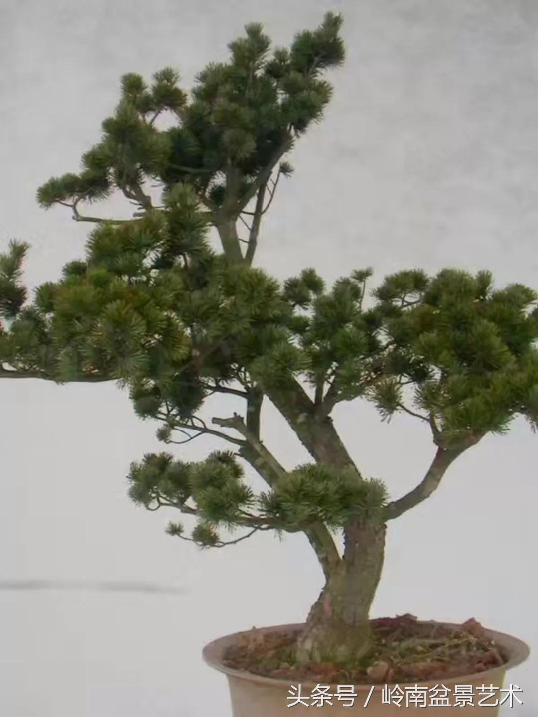 神来之笔绘画作品欣赏,神来之笔书法作品大全