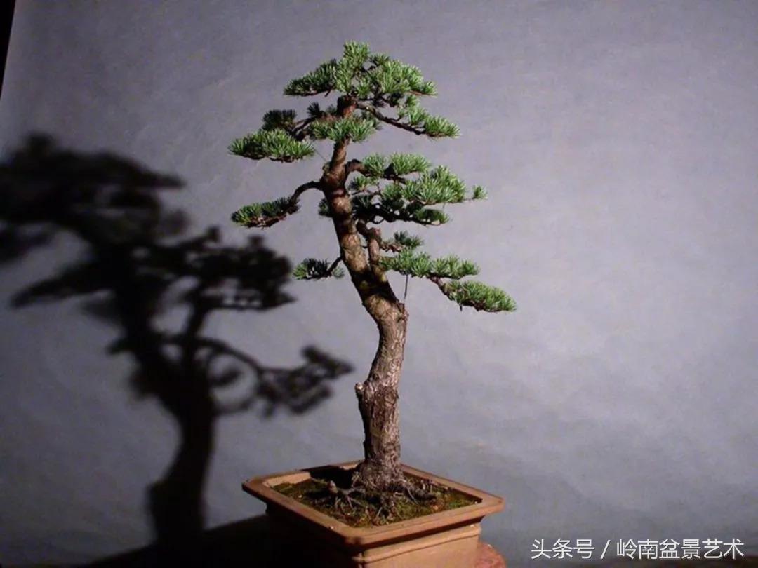 神来之笔绘画作品欣赏,神来之笔书法作品大全