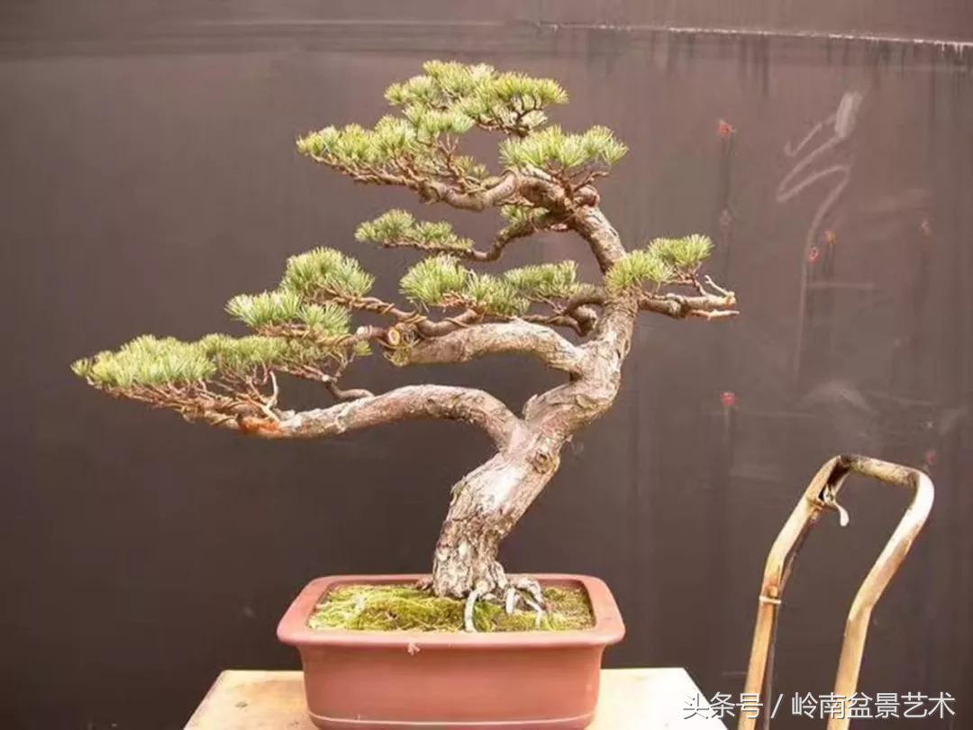 神来之笔绘画作品欣赏,神来之笔书法作品大全