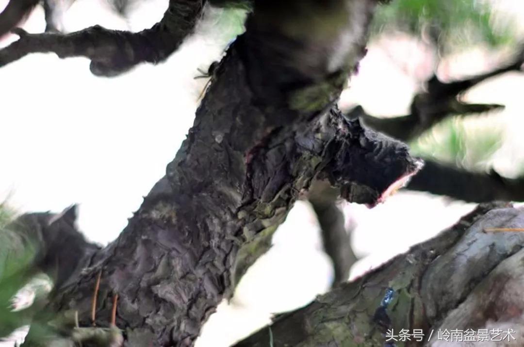 神来之笔绘画作品欣赏,神来之笔书法作品大全