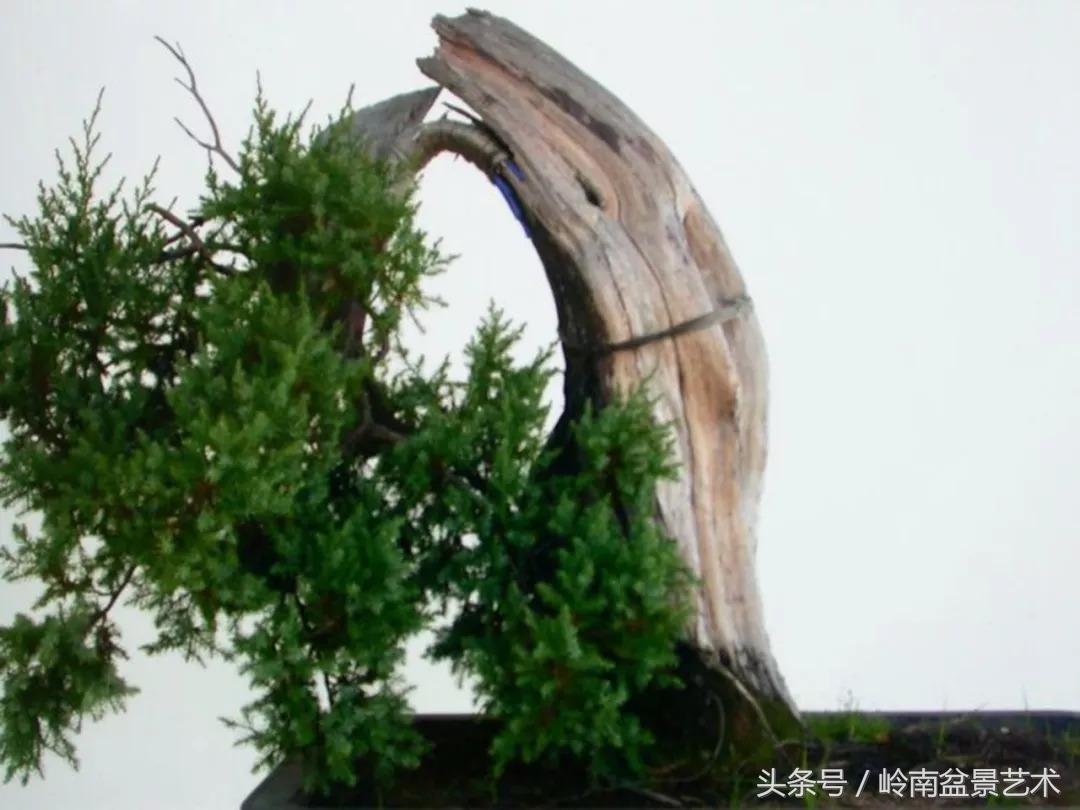 神来之笔绘画作品欣赏,神来之笔书法作品大全