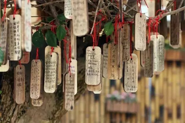 厦门最值得一看的景点,厦门最值得去的几个景点