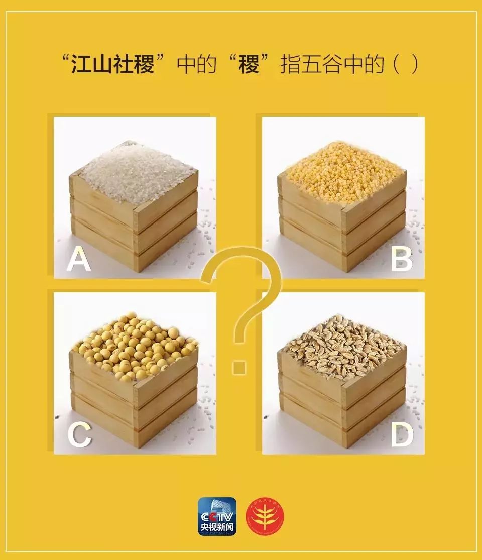 中国五谷丰收节,农民丰收节是哪五谷
