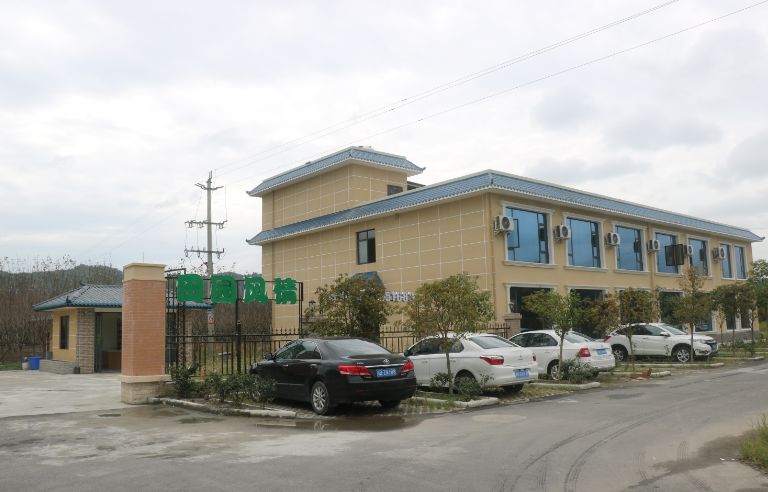 最好看的紫薇花美景,初秋靓丽的紫薇花