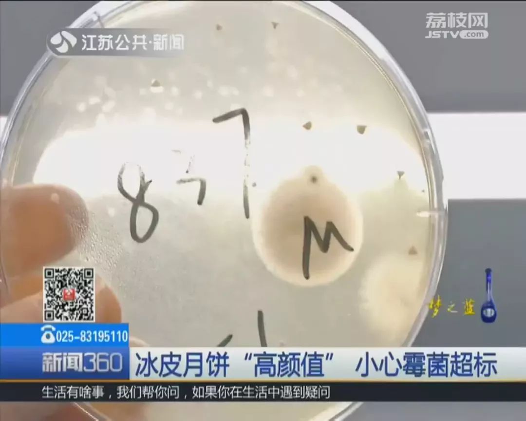 怎么判断冰皮月饼是否发霉,冰皮月饼是否超标