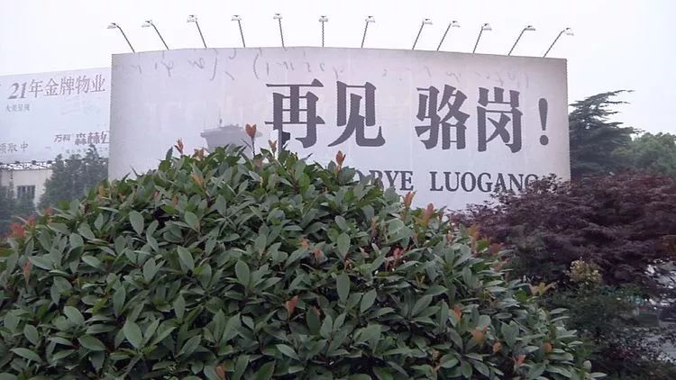 从三里街到骆岗再到新桥,你了解合肥机场吗?珍贵照片带你穿越它的前身今世!