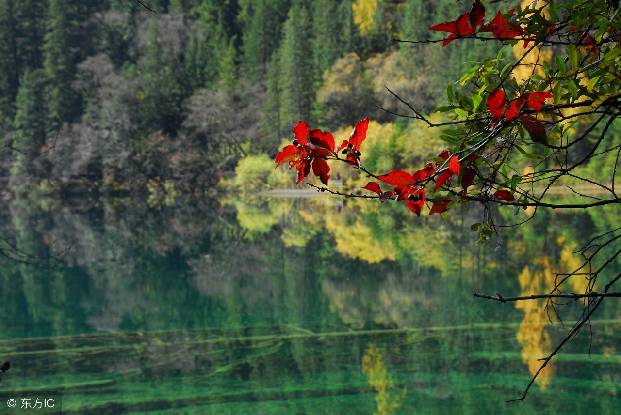 纳兰性德的悼亡诗名句,纳兰性德十首最著名诗