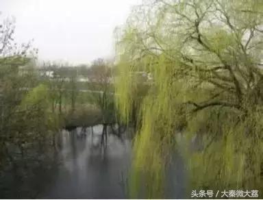 千年古村西溪村,大荔柳池村央视节目