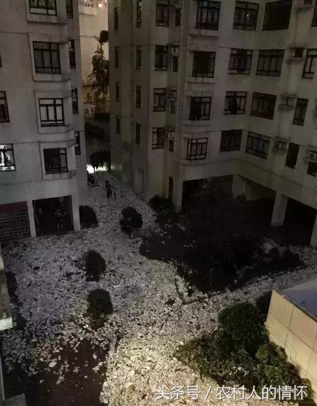 “三竹”过后真正的报应来了