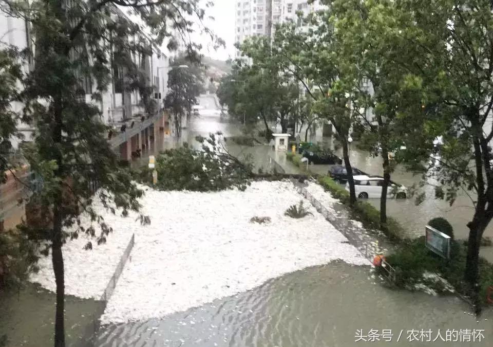 “三竹”过后真正的报应来了