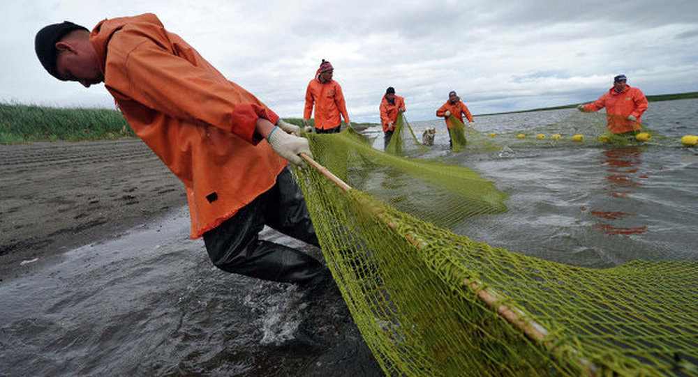 俄运回美元现钞,俄罗斯派出军用飞机运送物资