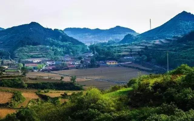 农村小院这样改不仅漂亮还能挣钱,乡村小院改造经典案例如何盈利