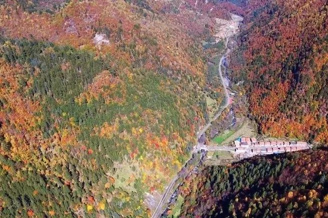 红叶秋天的一道独特风景,红叶美景惊艳了整个秋天