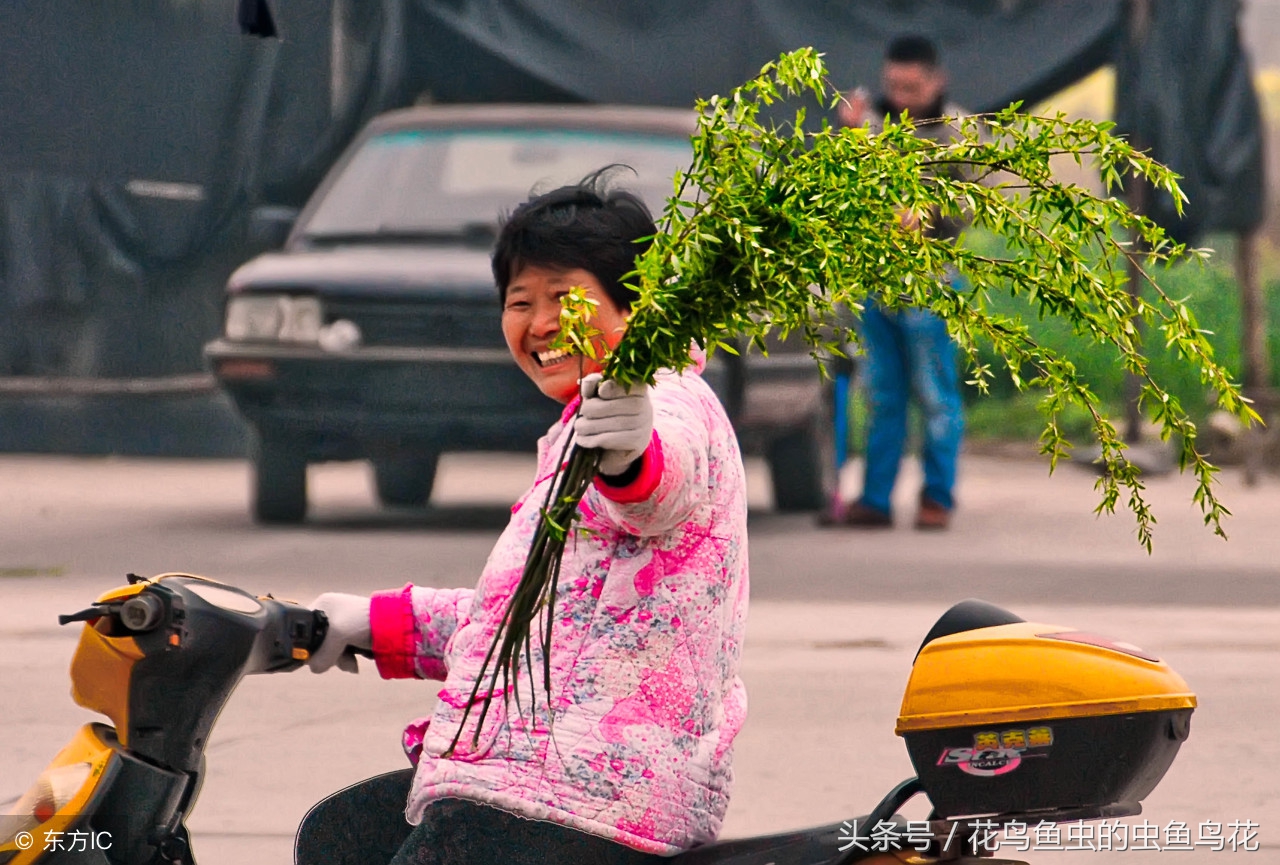 盆栽泡根的正确方法,盆栽如何做到不闷根