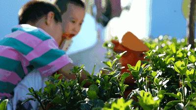 中国竟有如此走心的儿童公园，投资上亿国庆开园啦！就在新东站，免费抢票嗨翻十一！