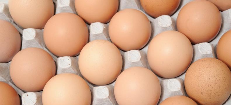 孕妇吃哪些食物对胎儿骨骼发育好,孕妇怀孕期间吃什么对宝宝智力好