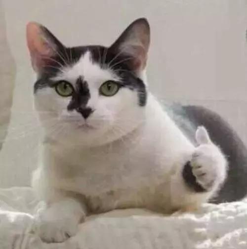 三大运营商宽带哪家强,三大运营商宽带哪个最差