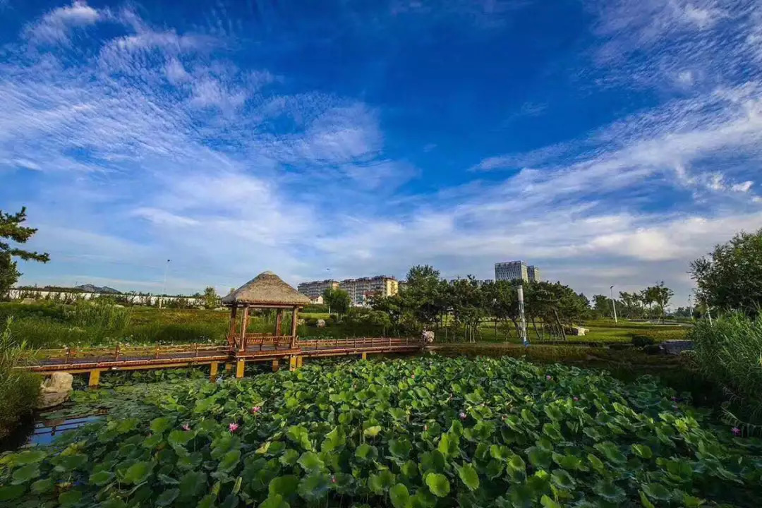 滨州面朝大海春暖花开,海景房滨州