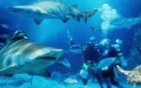 上海旅游景点有哪些地方最好玩,上海100公里左右有哪些旅游景点