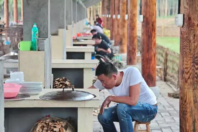 跟着萌宠过国庆，准备好迎接惊喜了吗？