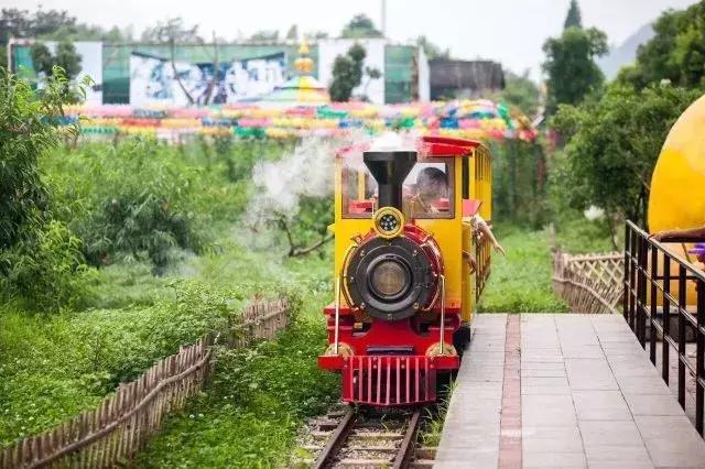 跟着萌宠过国庆，准备好迎接惊喜了吗？