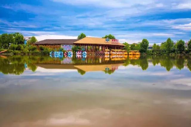 跟着萌宠过国庆，准备好迎接惊喜了吗？